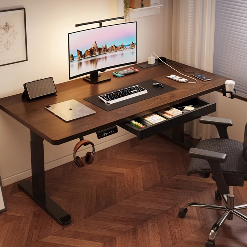 Modern Iron Dual Motor Electri - đánh giá và giá Dual Monitor Desk Setup