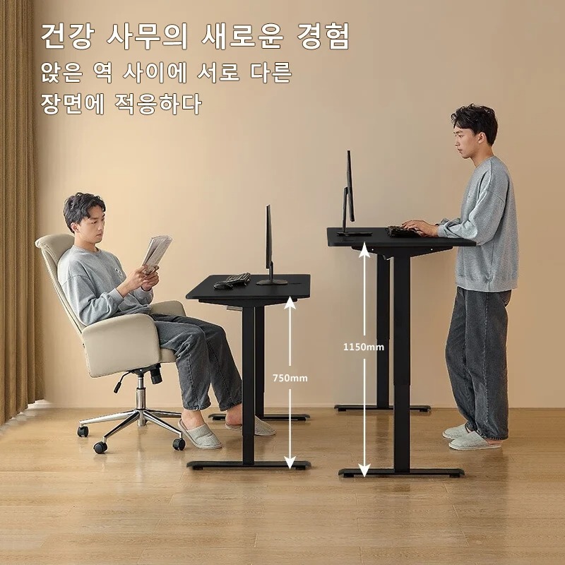 Height Adjustable Desk Motion  - đánh giá và giá Desk Setup Home Office